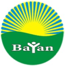 Bayan